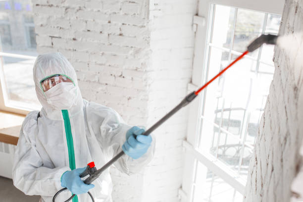 Best Mold Removal for HVAC Installations  in Hartselle, AL